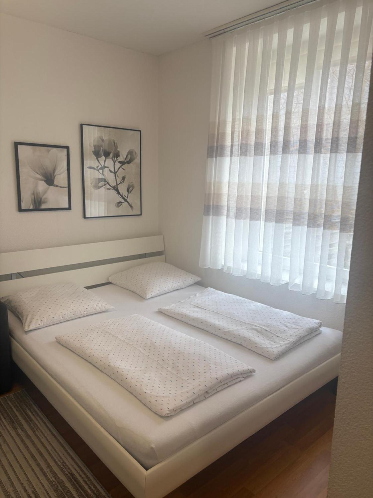 1,5 Zimmer Appartement Winterthur Eksteriør bilde
